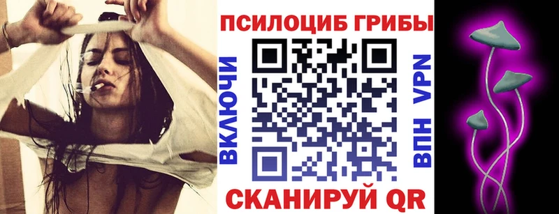 как найти   Армянск  Галлюциногенные грибы MAGIC MUSHROOMS 